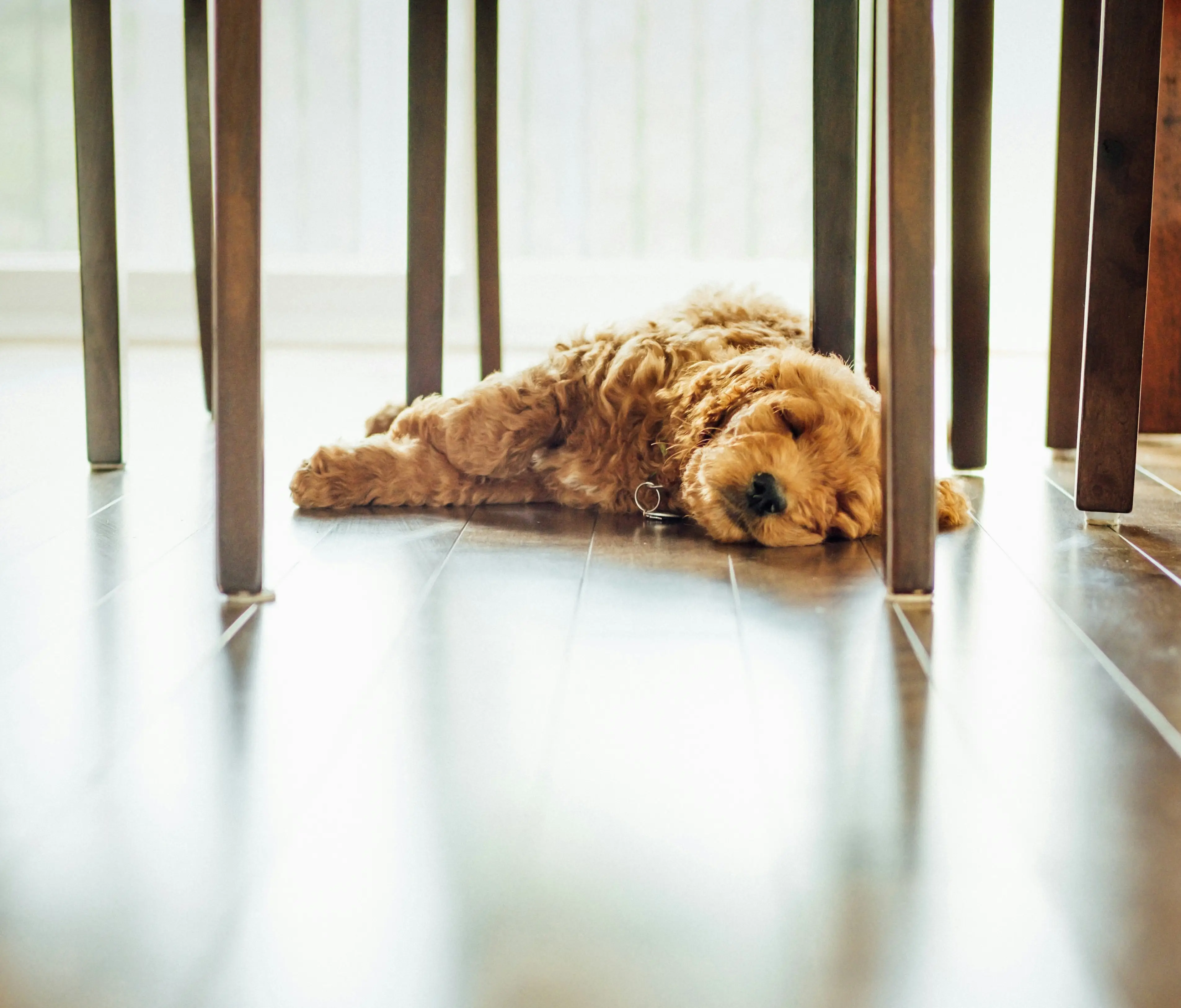 Underfloor heating system in kitchen installation